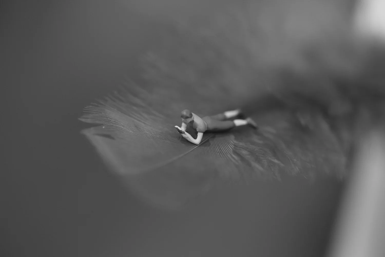 Flight.jpg