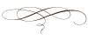 ornament.jpg