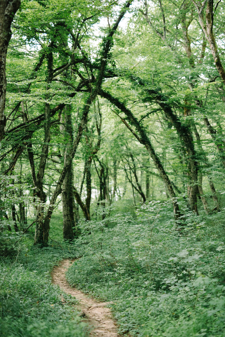 PlitviceLakesNationalPark(4).jpg