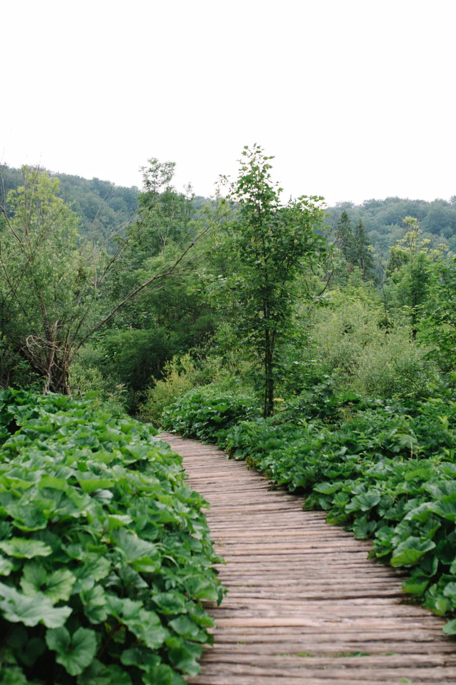 PlitviceLakesNationalPark(30).jpg