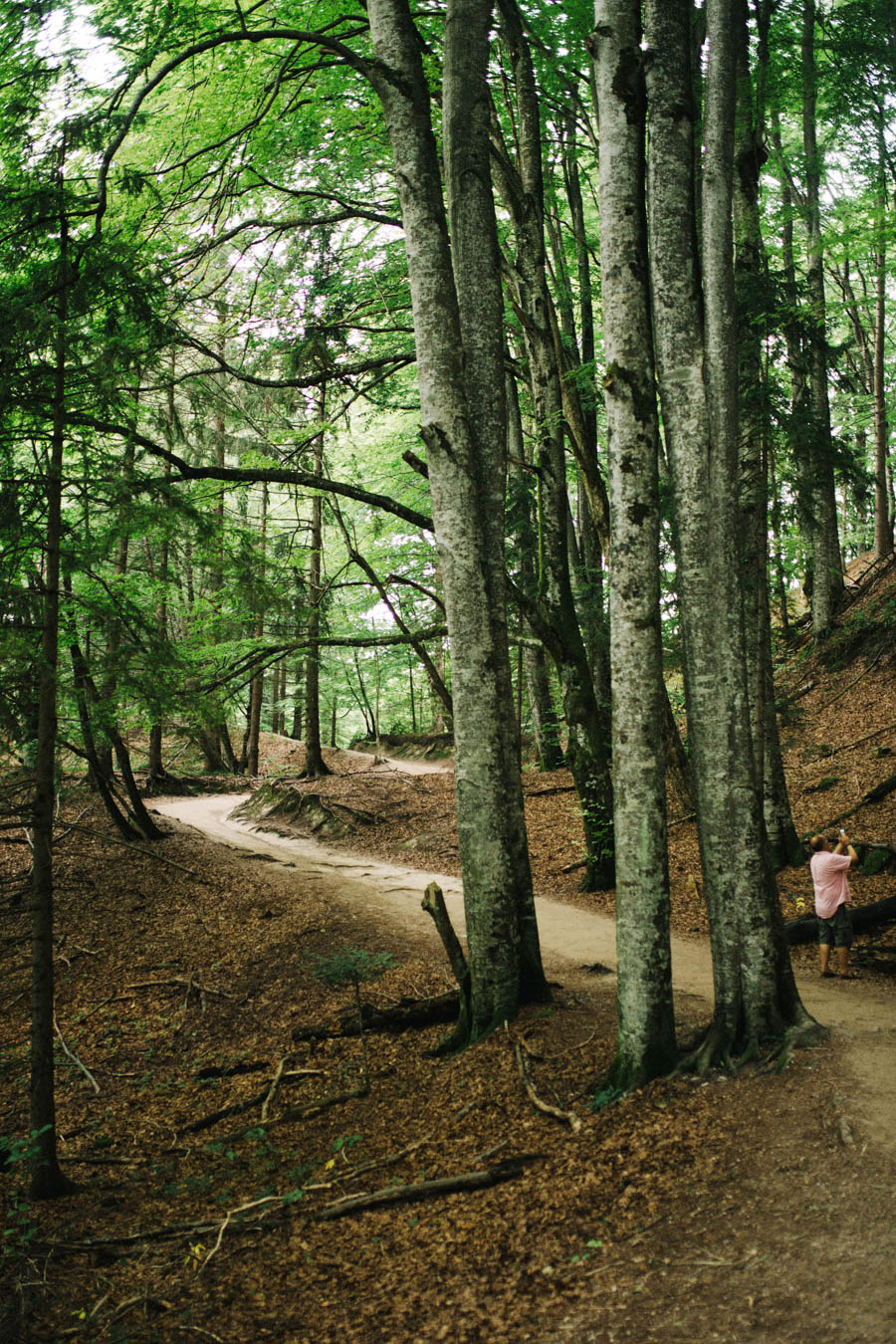 PlitviceLakesNationalPark(34).jpg