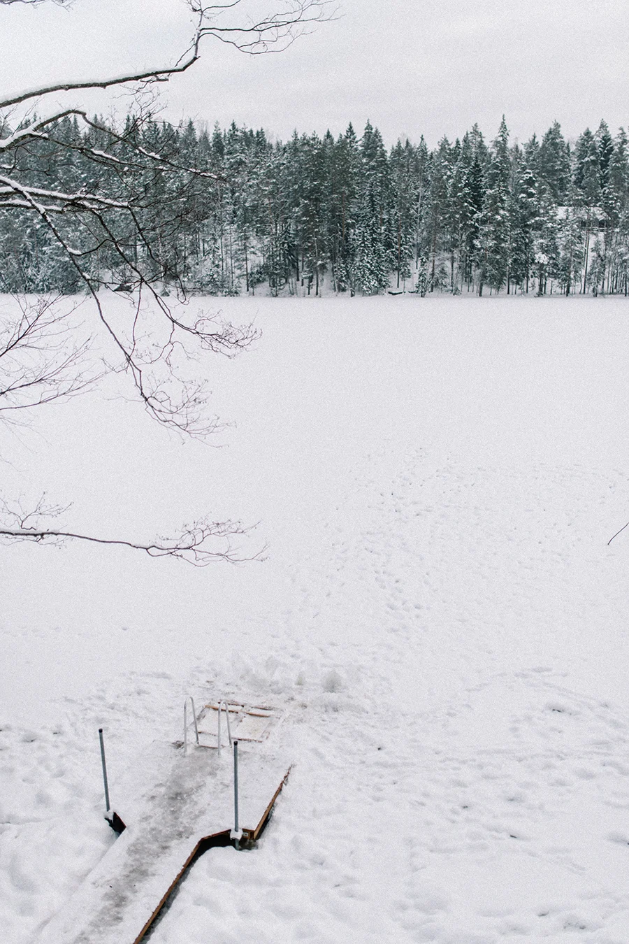 A winter gathering in Nuuksio, Hawkhill Nature, Hey Look, Tuulia Talvio (10).jpg