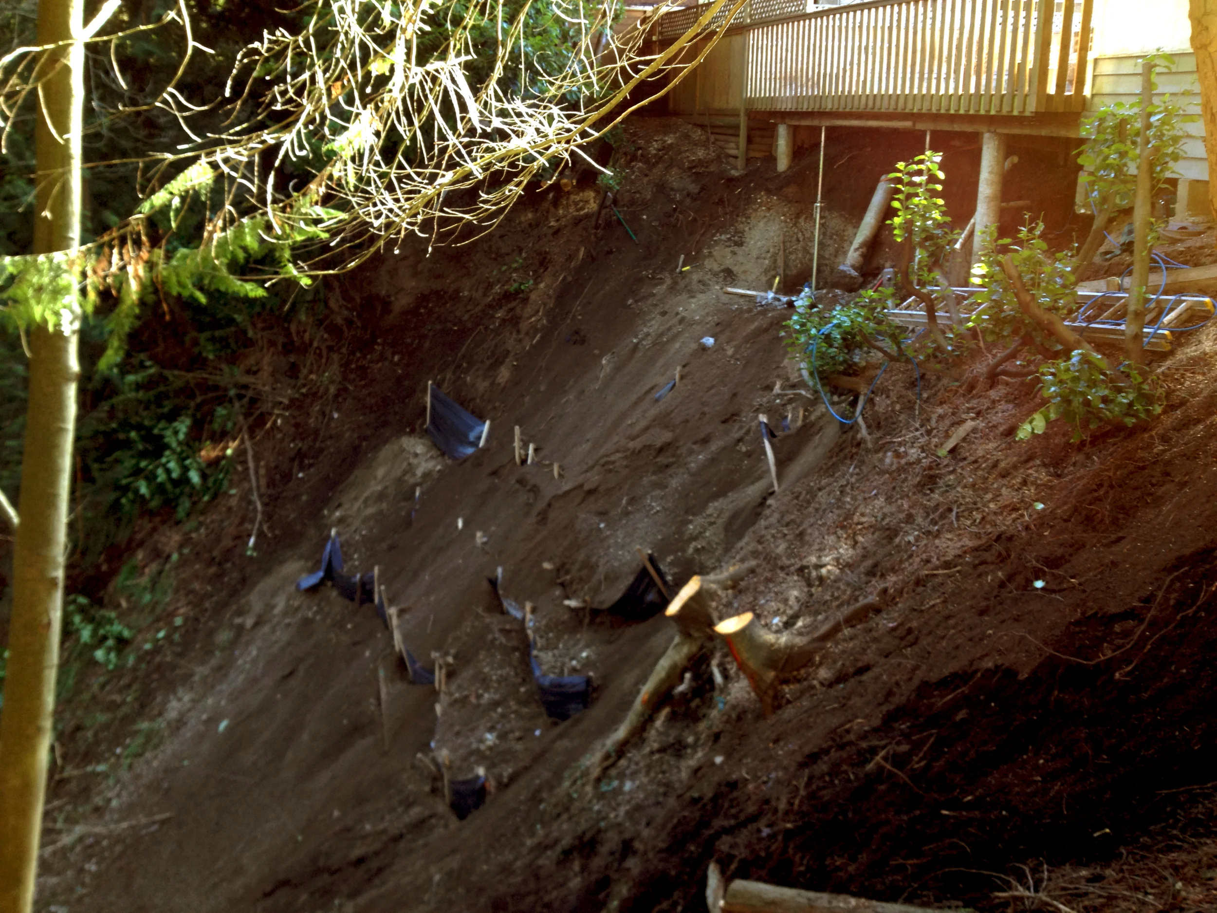 Slope stability on site 2.jpg