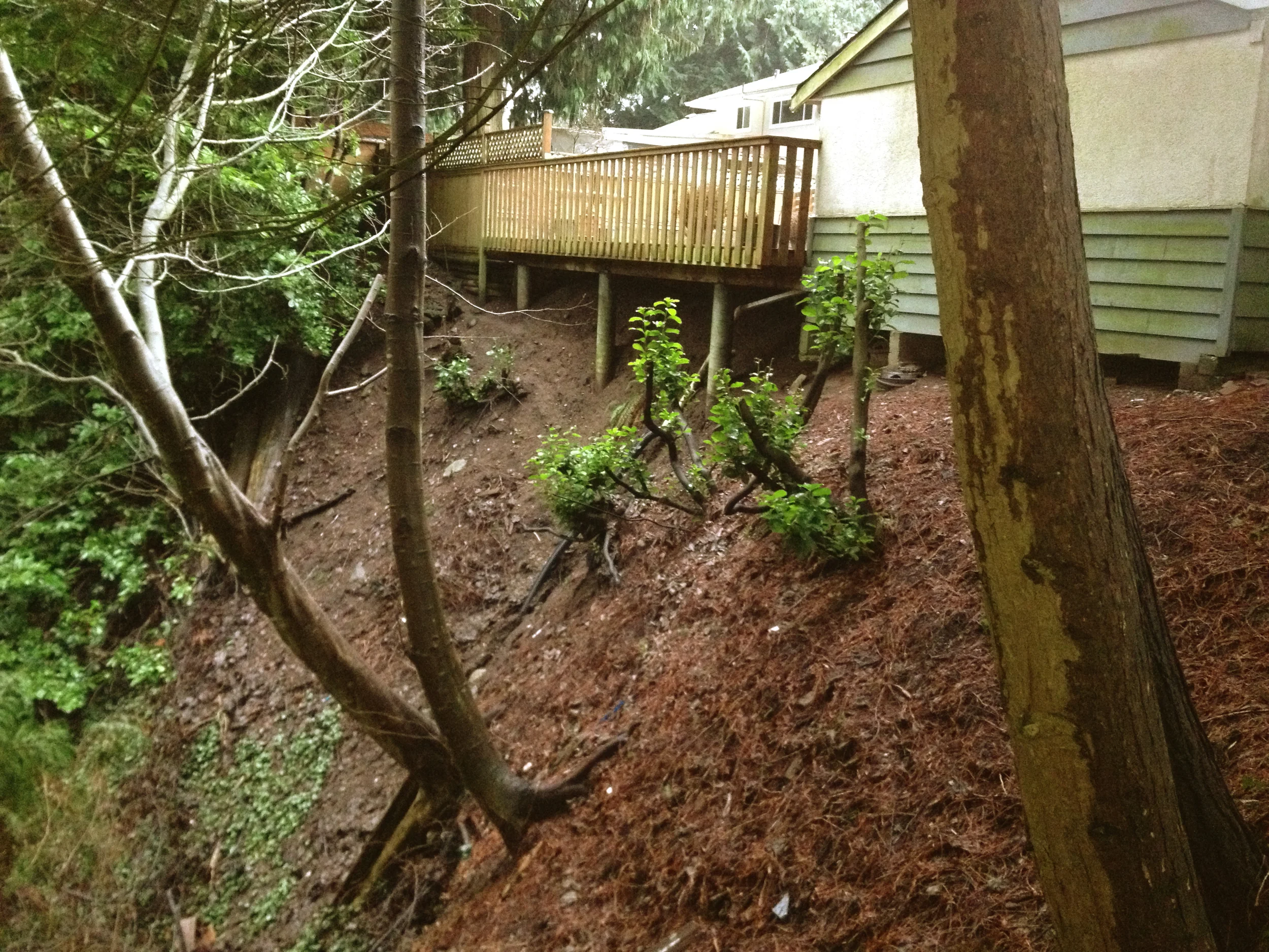 Slope stability on site 1.jpg