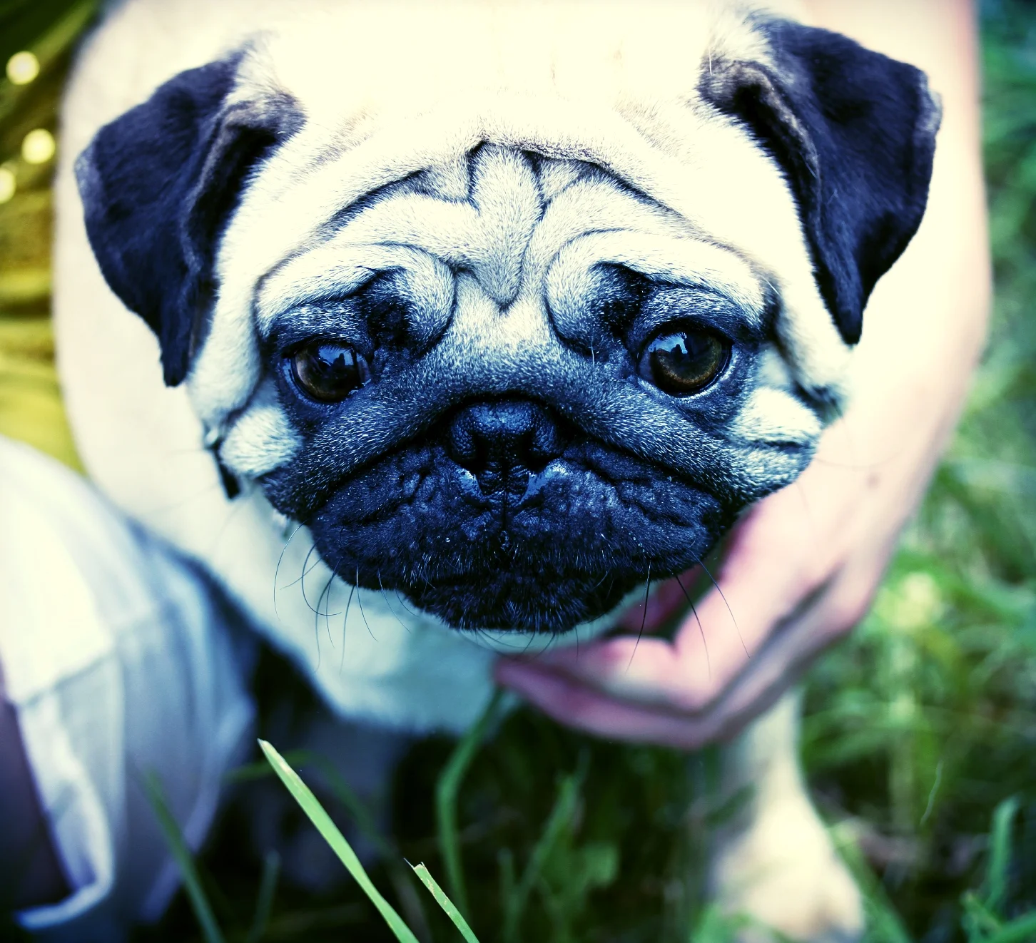 stock-photo-3581051-blessed-nest.jpg