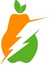 Fun Camp: A Summer Experience