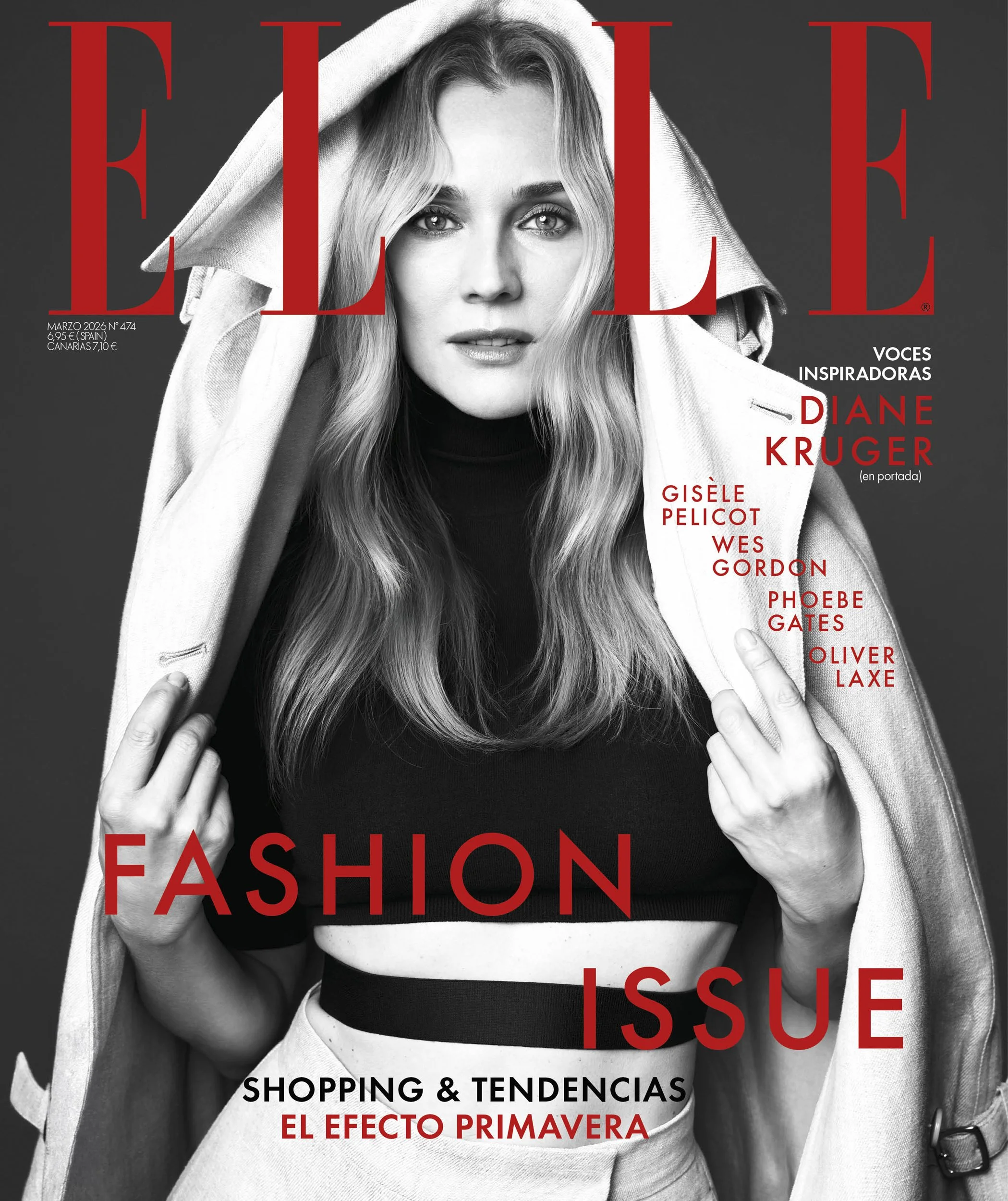 DianeKruger Cover 3.jpg