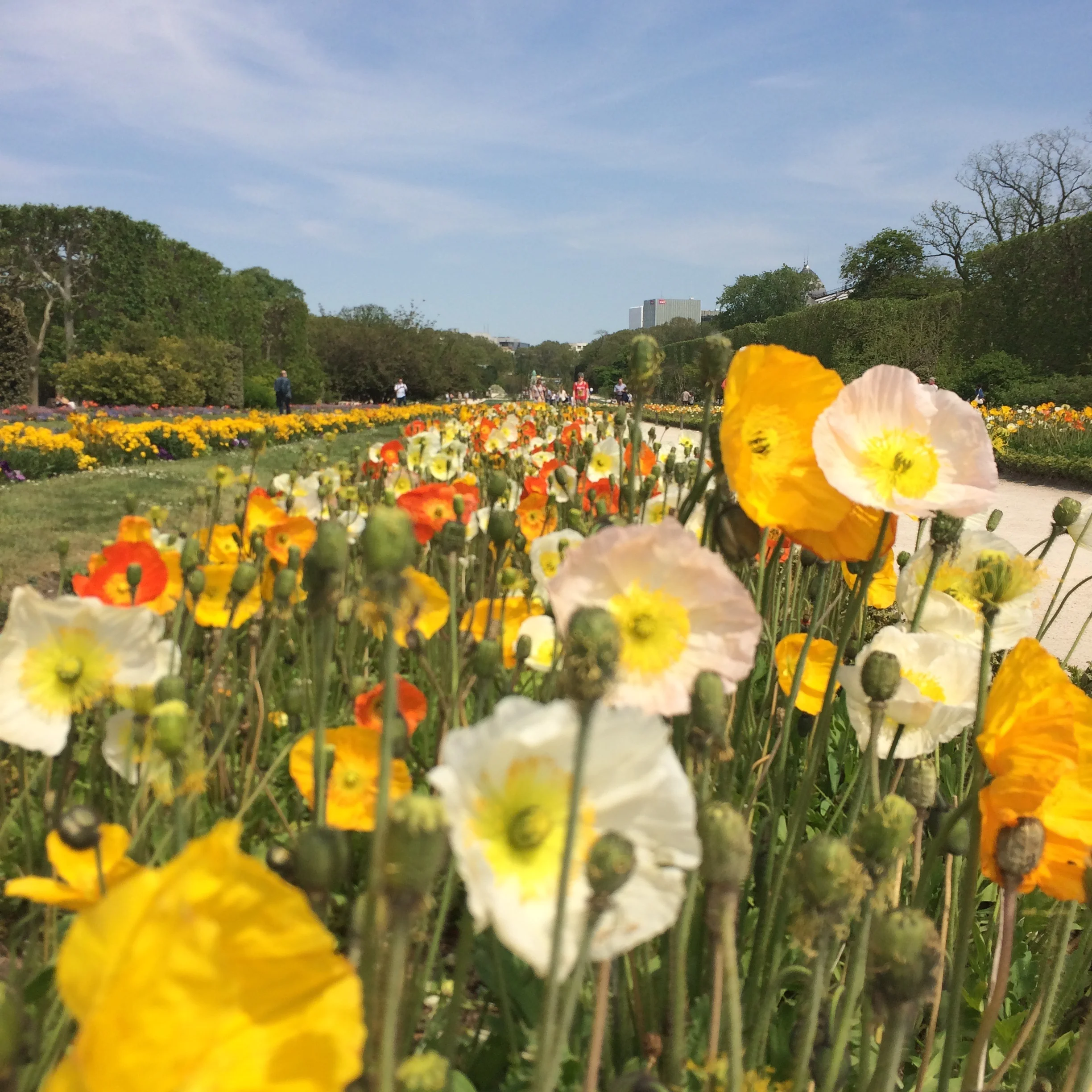 Jardin des Plantes