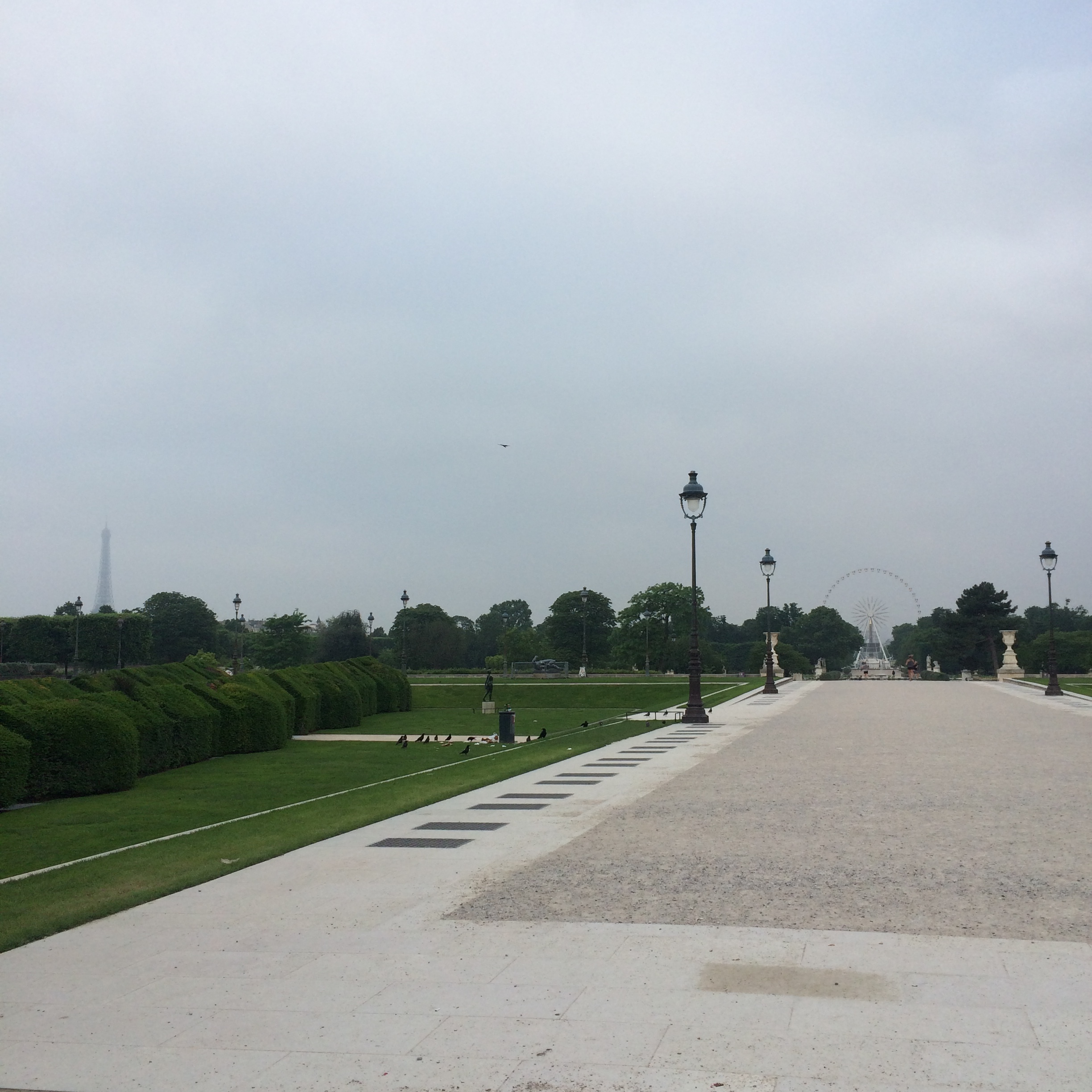 Morning Jog in Jardin des Tuileries (I ran to the Ferris Wheel in the distance and back to Les Halles)