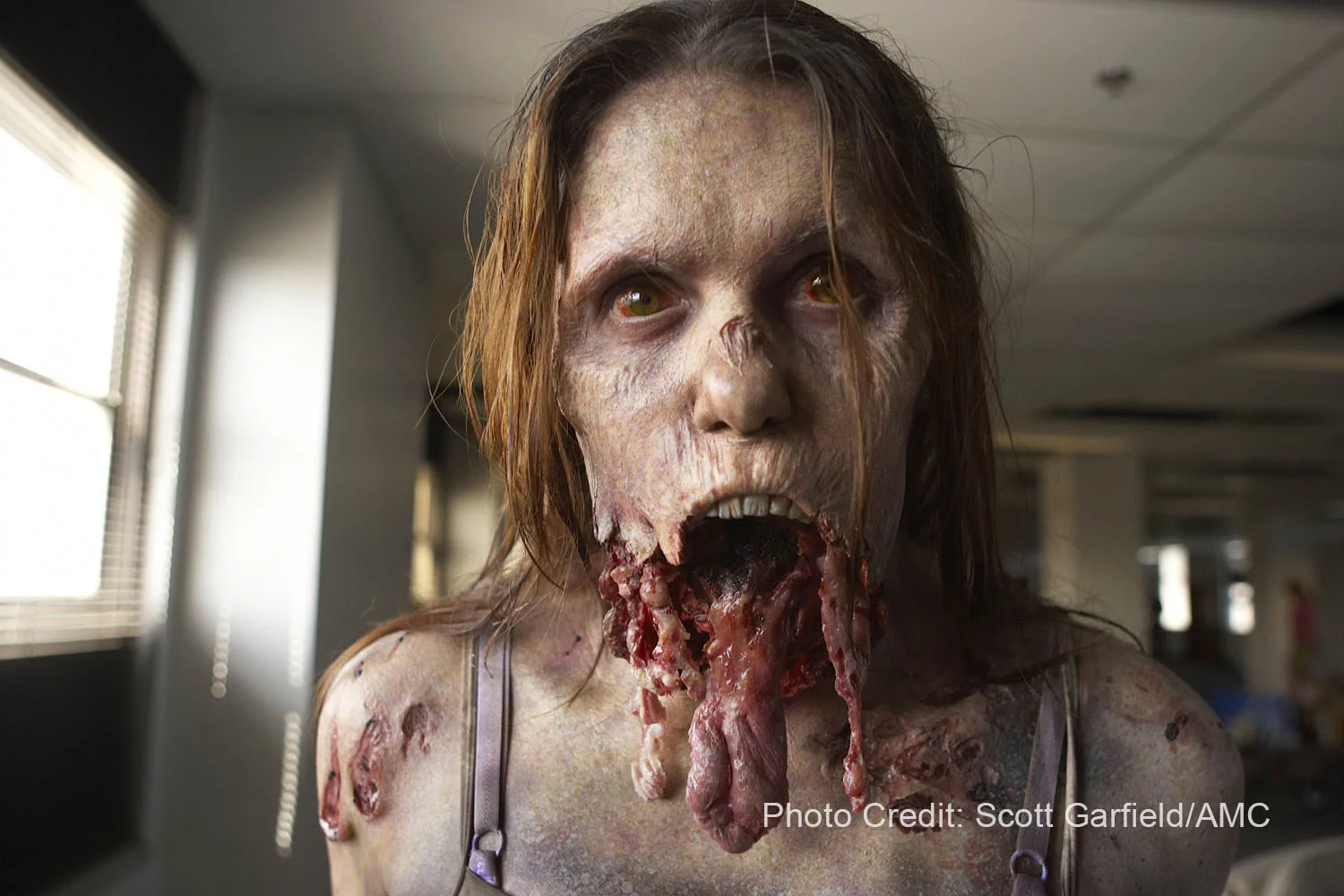 12_TWD_20100725_SG-0199 copy.jpg