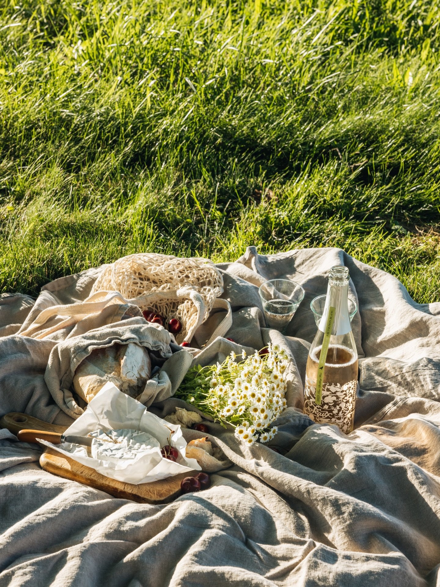 Our 2025 Sparkling is here! Order a case today and join our Case Club 2026 for exclusive perks.

And don&rsquo;t forget the tasting garden opens this week! Join us for a glass starting April 2nd, 12-6pm.