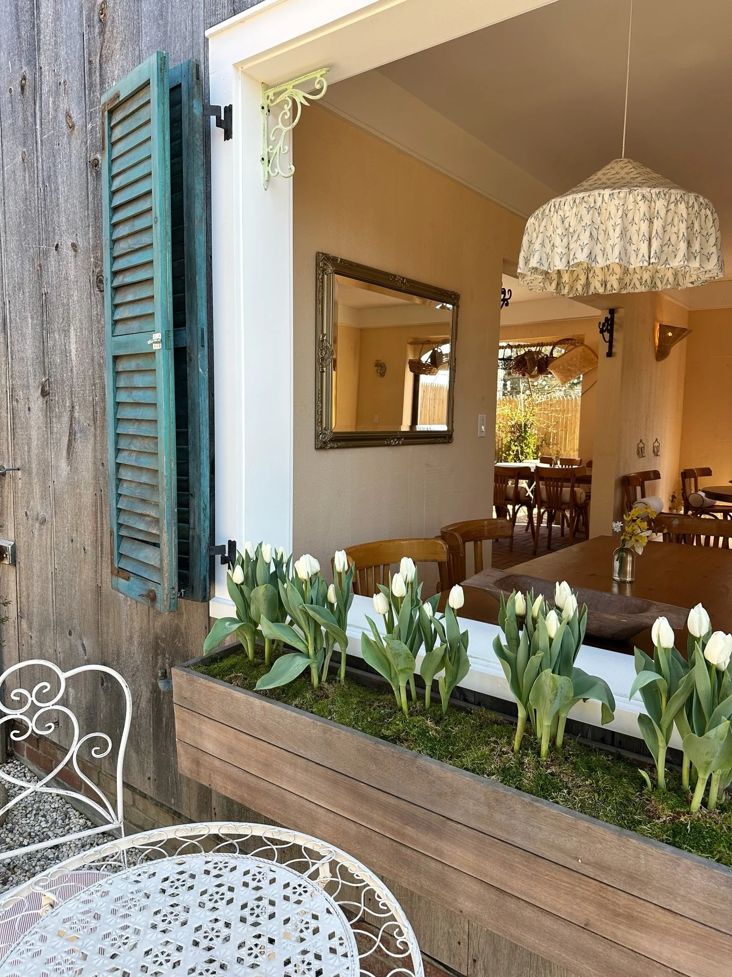 Spring is here in the garden and in the shop!