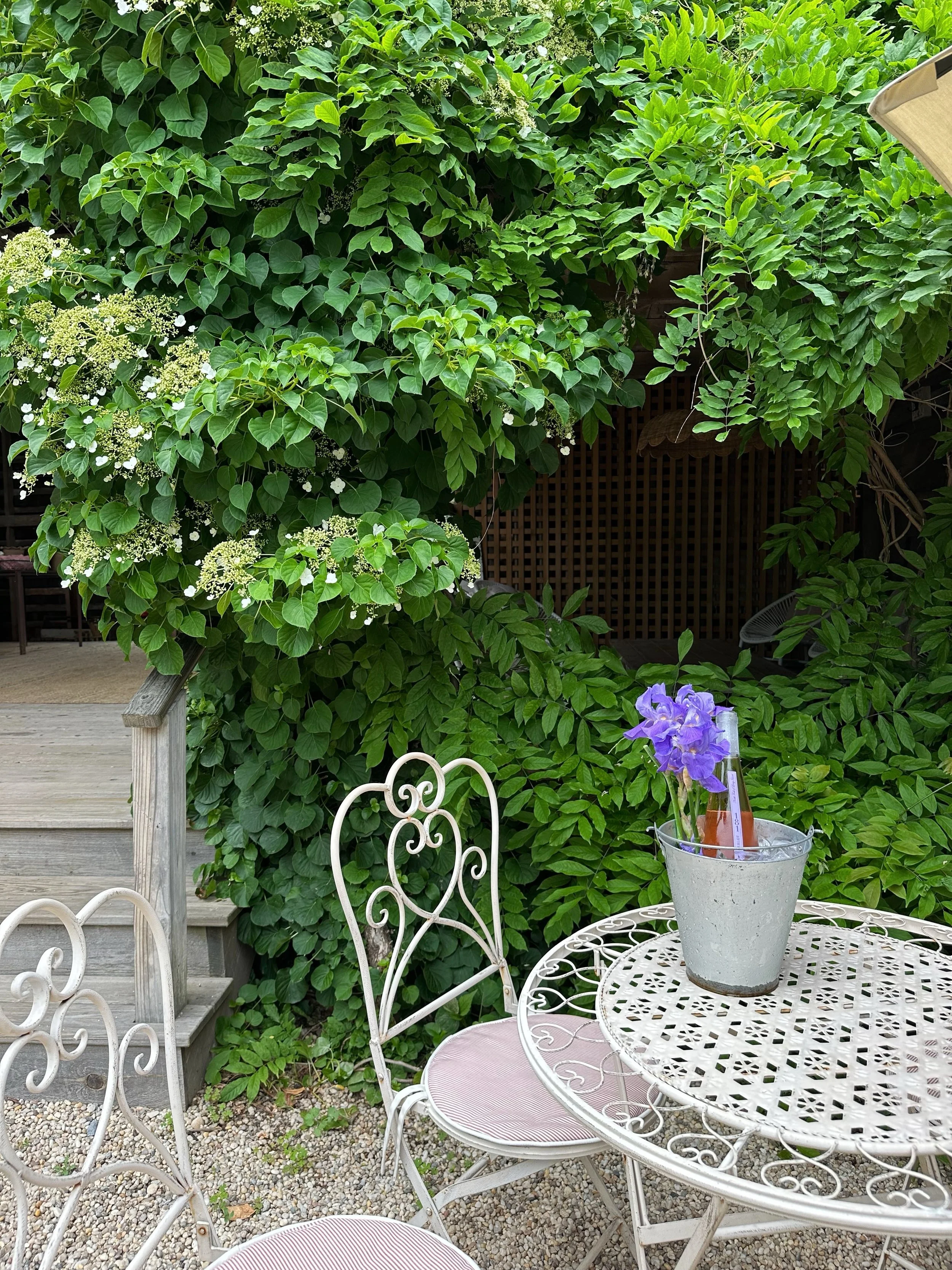 Best of May 🌱