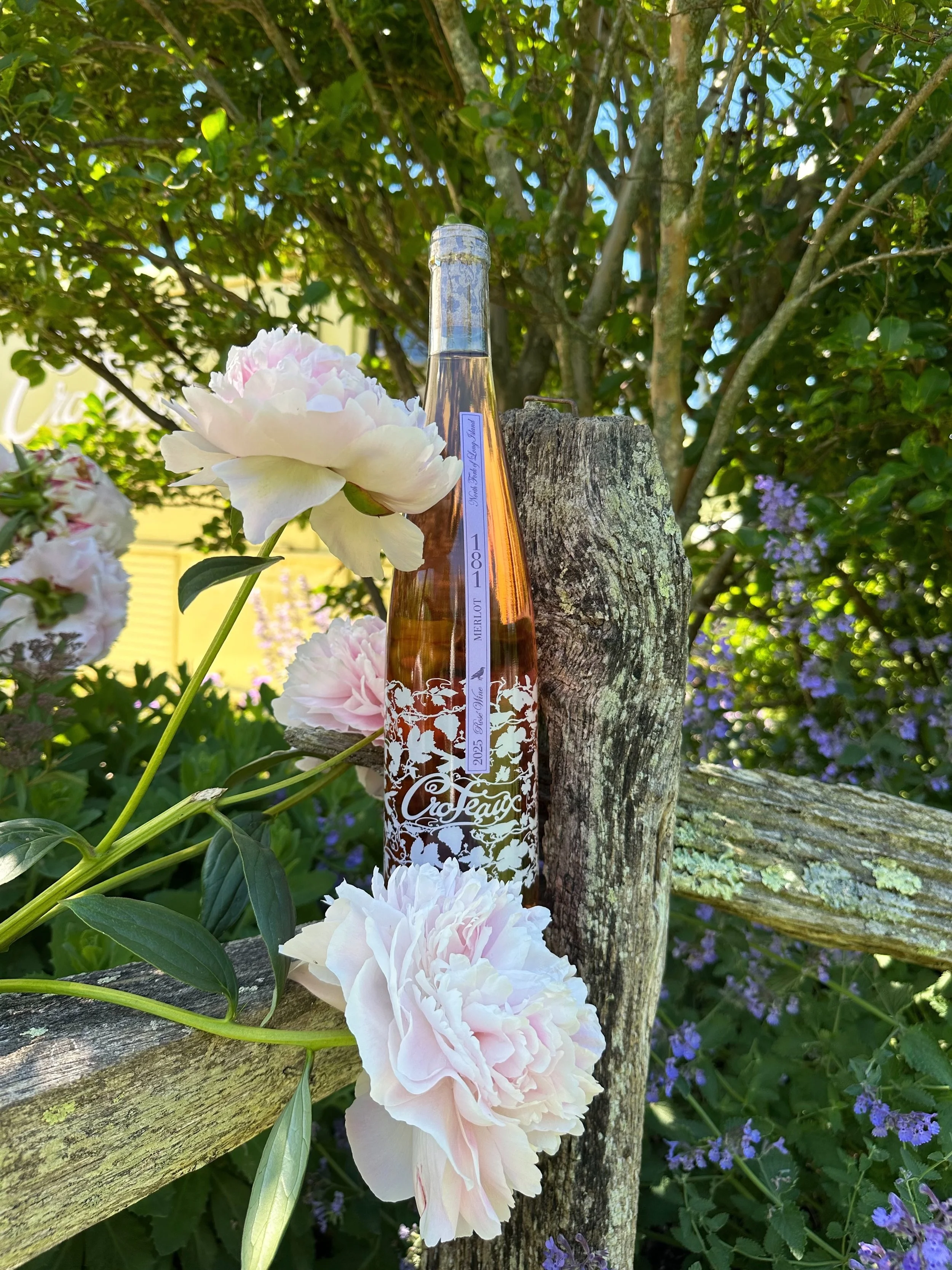 Garden girls! Merlot 181, &lsquo;Jolie&rsquo; Cabernet Franc, and &lsquo;Chloe&rsquo; Sauvignon Blanc 2025 vintage are available to shop online and in the tasting room.