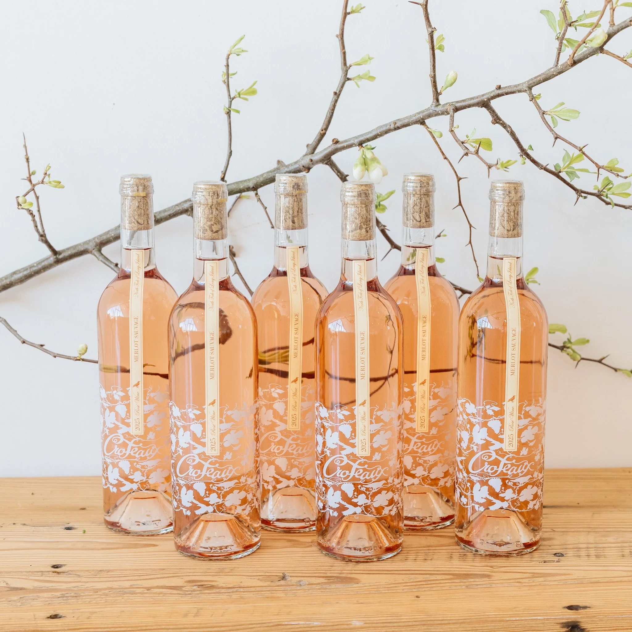 Case: 2025 Merlot 'Sauvage' Rosé