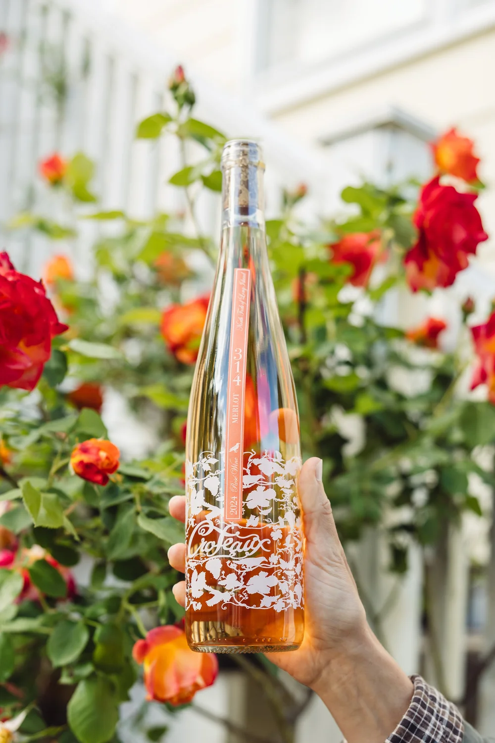 Case: 2024 Merlot 'Sauvage' Rosé — Croteaux Vineyards