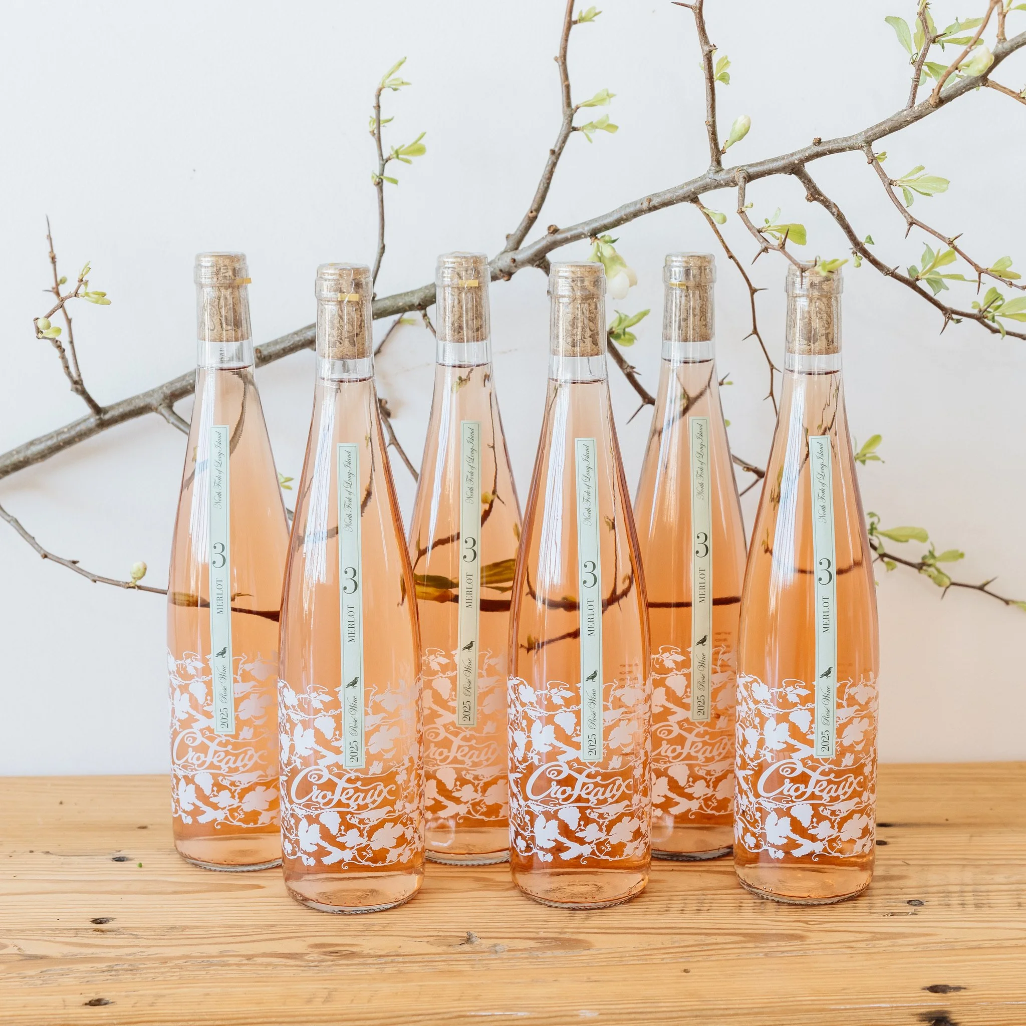 Case: 2025 Merlot 3 Rosé