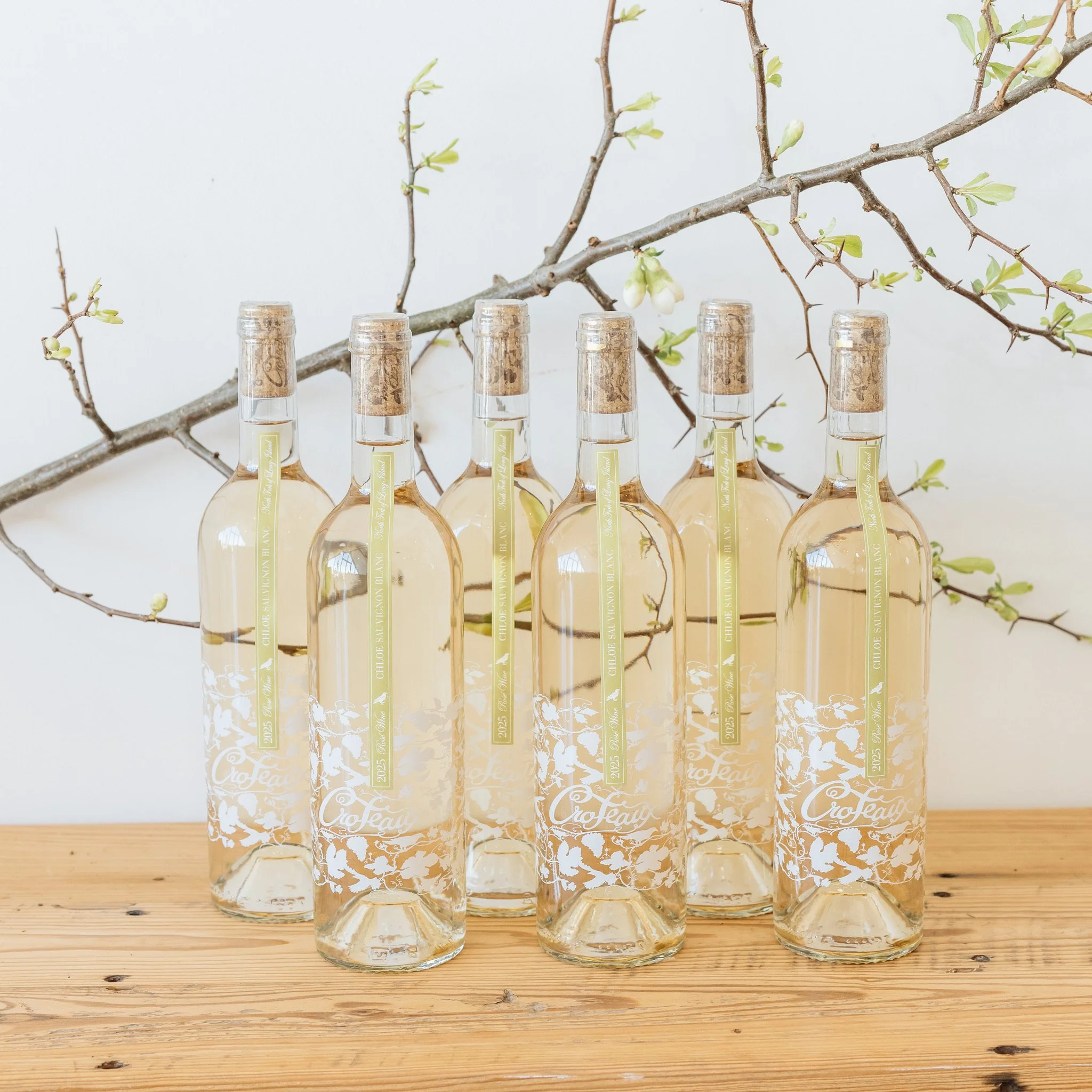 Case: 2025 'Chloe' Sauvignon Blanc Rosé