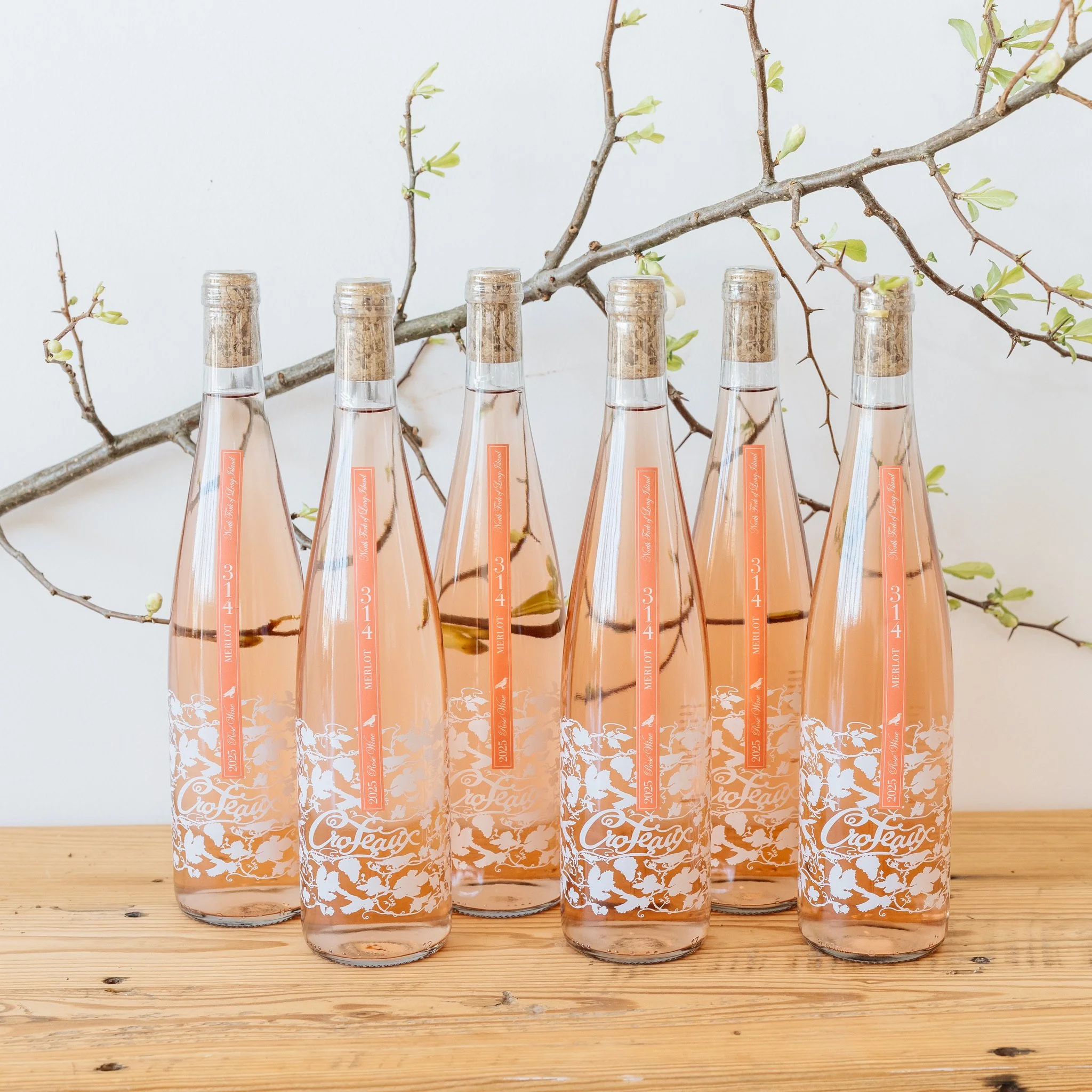 Case: 2025 Merlot 314 Rosé