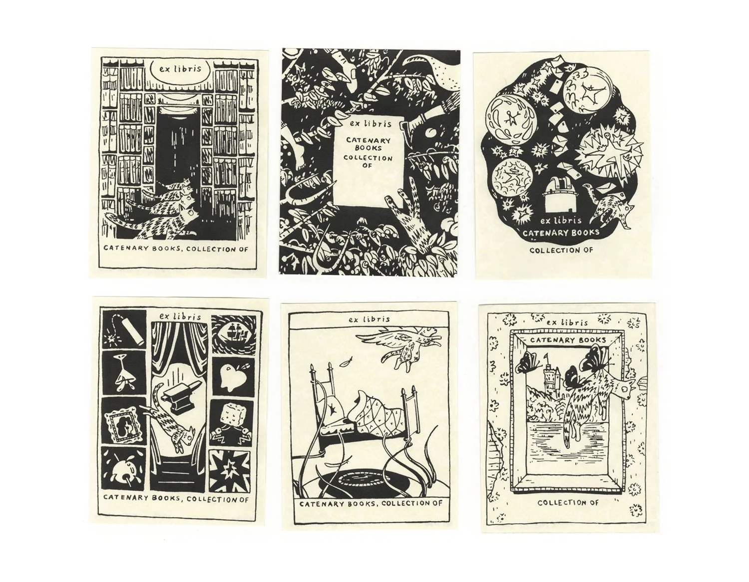 Catenary Books_KCaldwell_web07.jpg