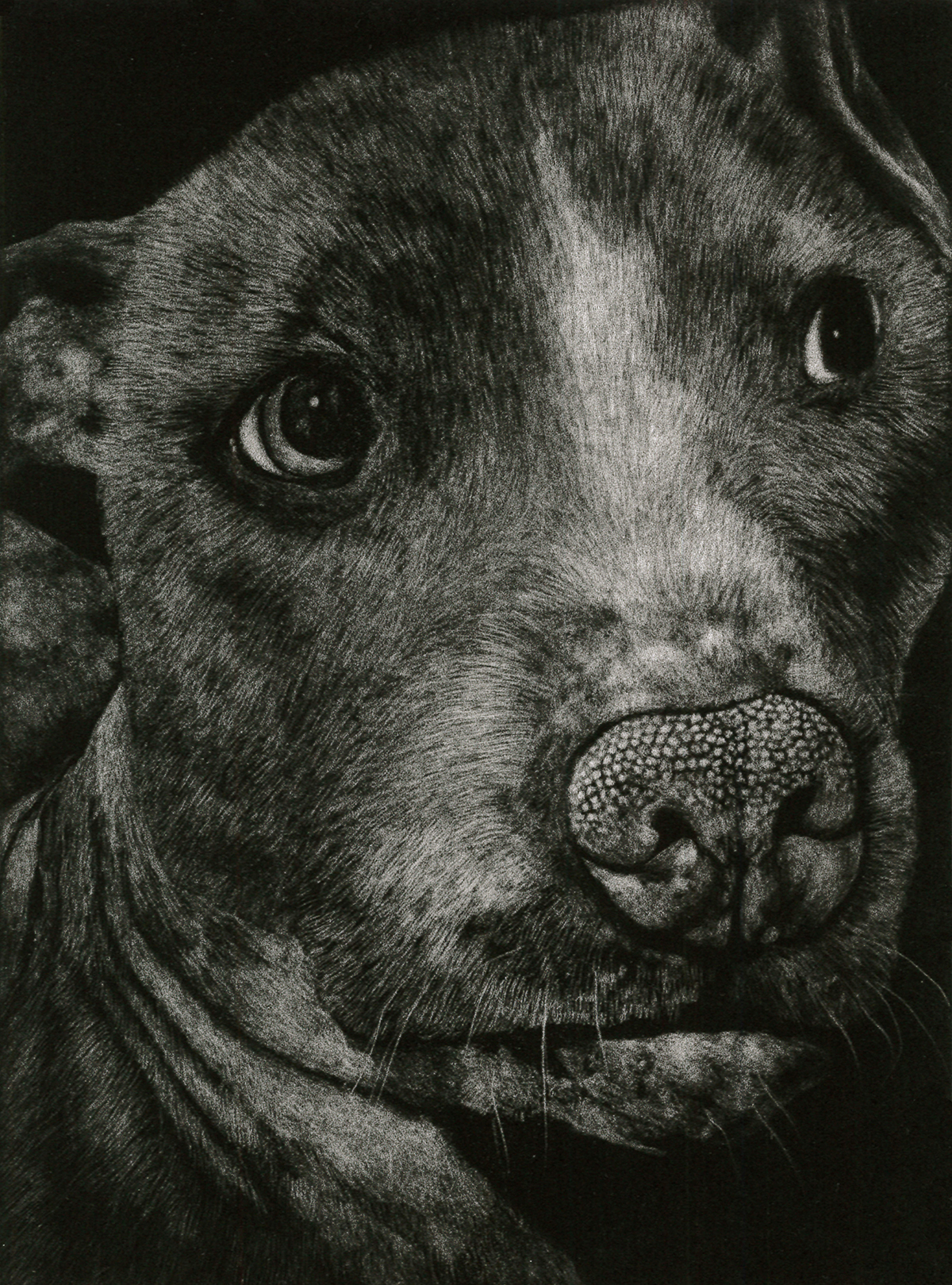 Otis II