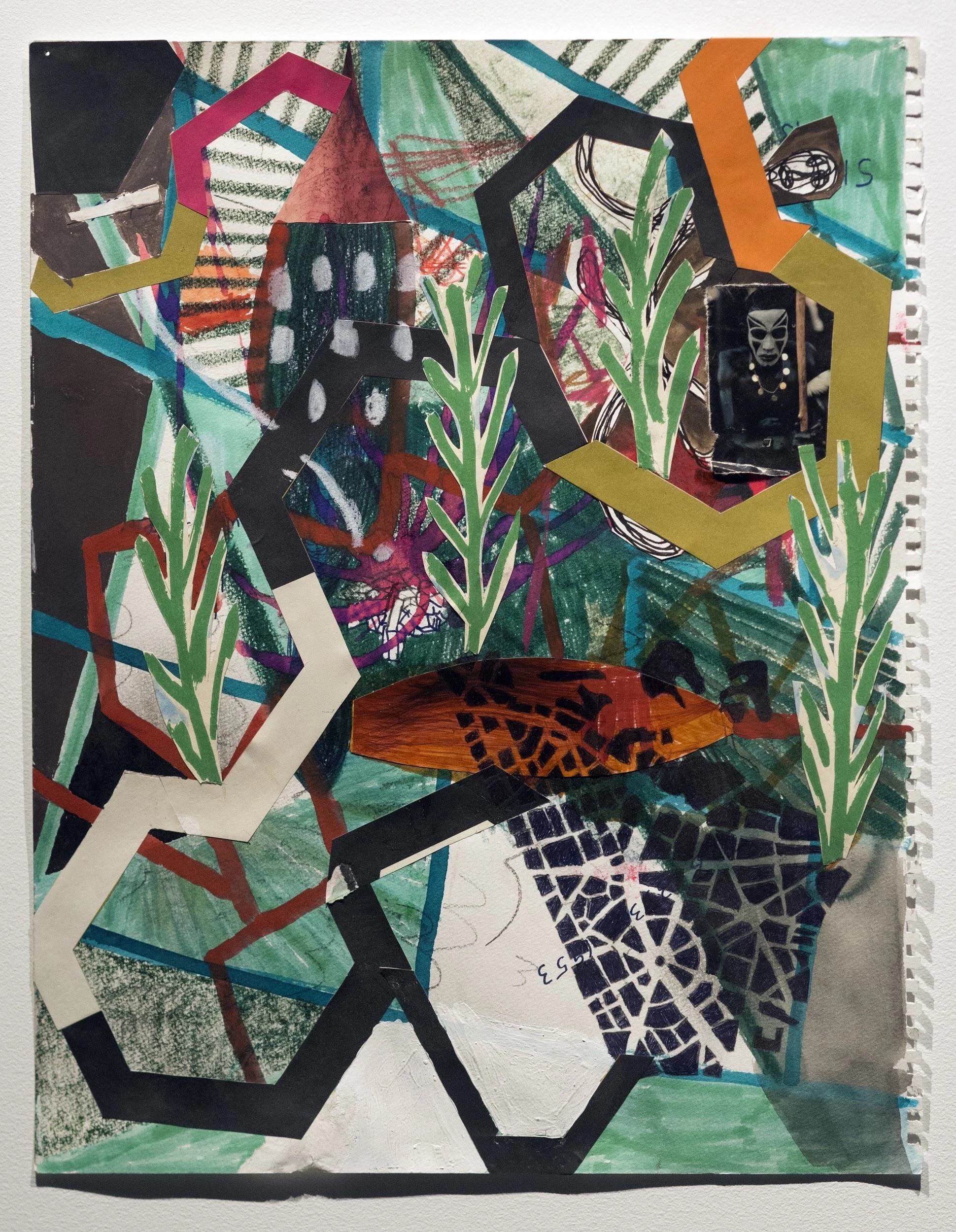 Jungle Geometry