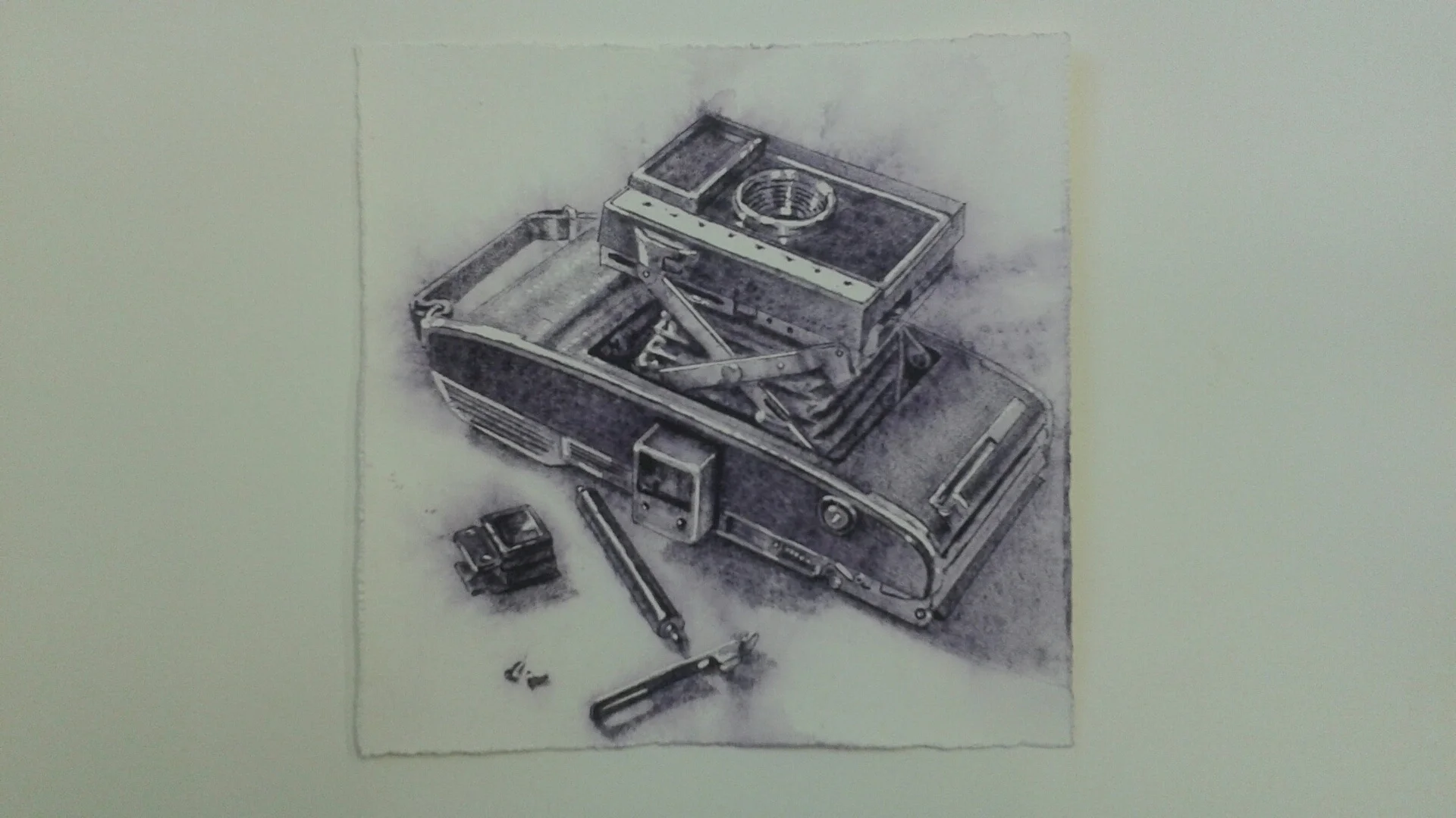 Polaroid XV