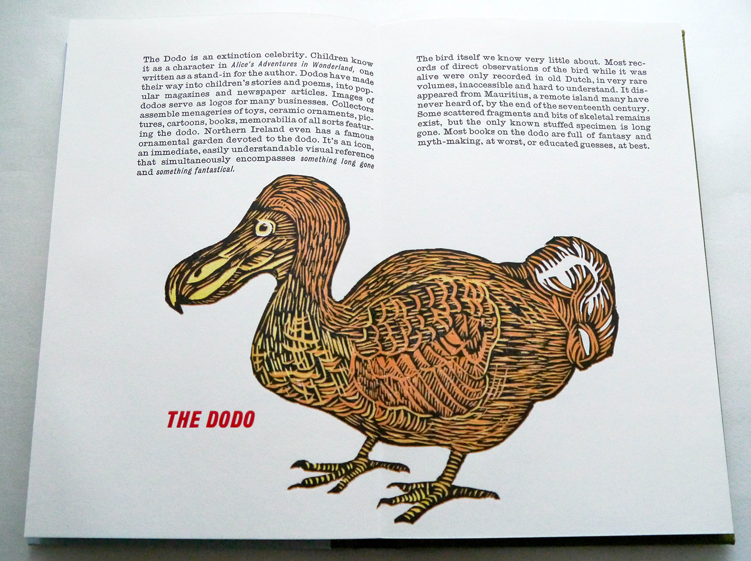 The Dodo Bird From Alice in Wonderland Tile