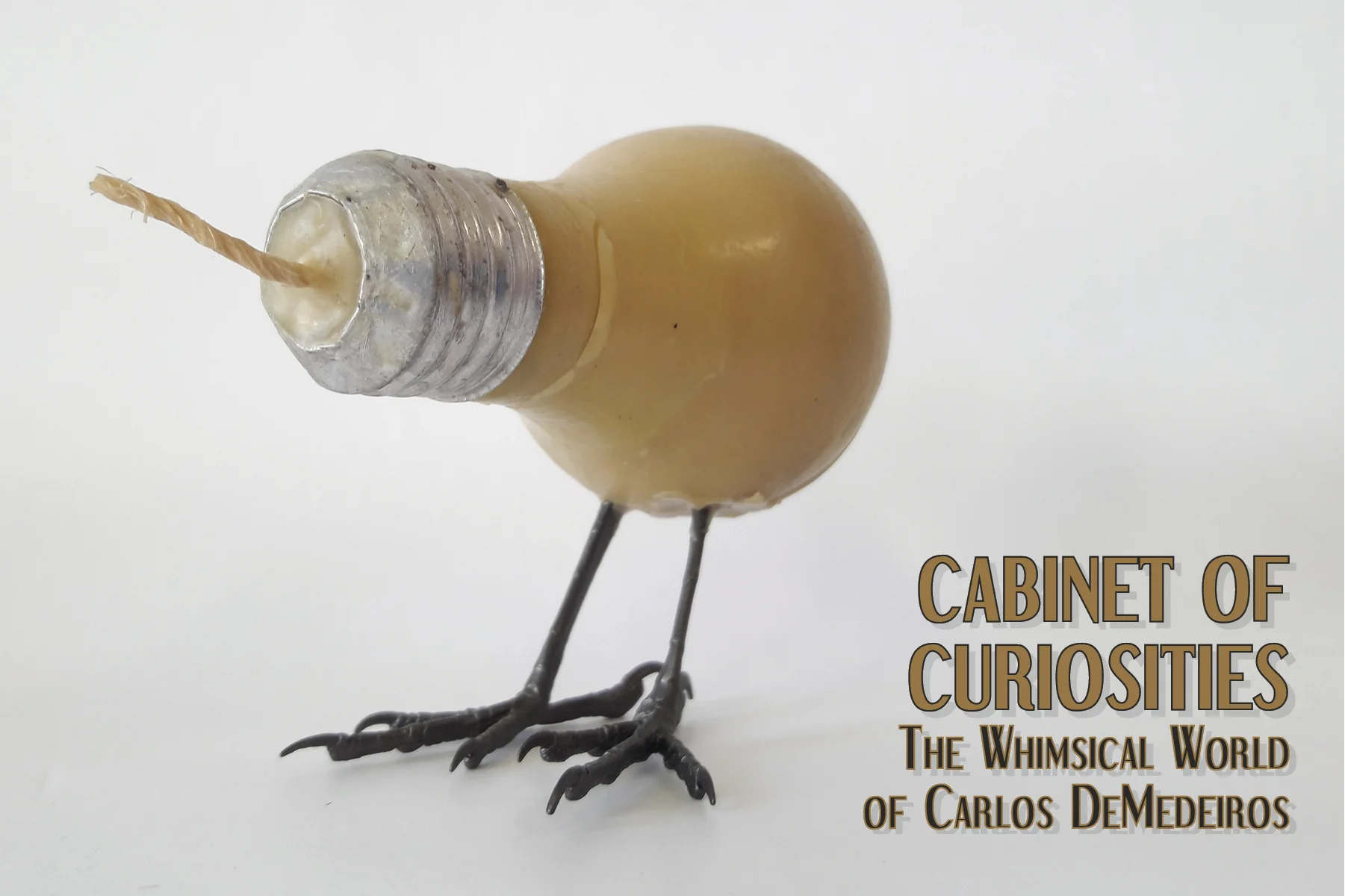 Cabinet of Curiosities with Carlos DeMedeiros