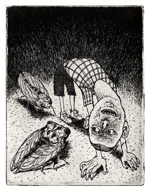 I Talk to the Cicadas