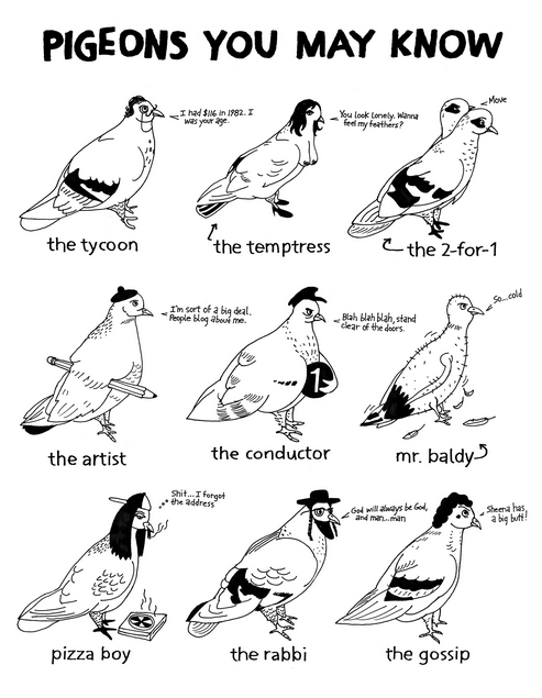 Pigeons You May Know by Christopher Darling