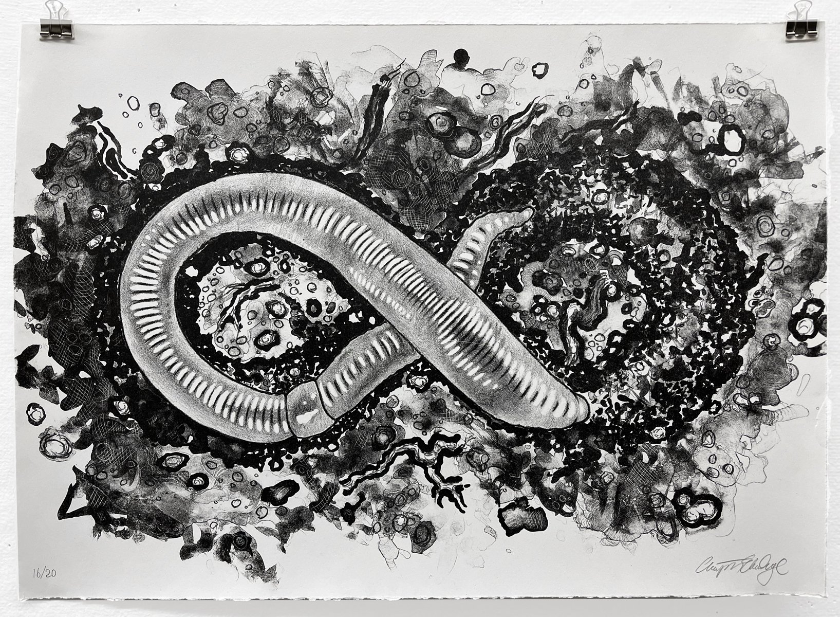 Worm by Esme Eldridge