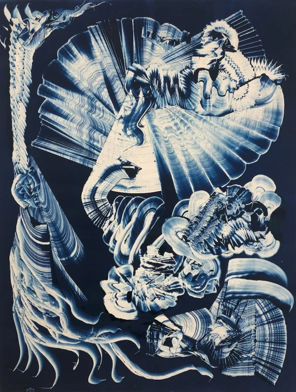 Exhibition: Billy Maloney Thousand Year Dream