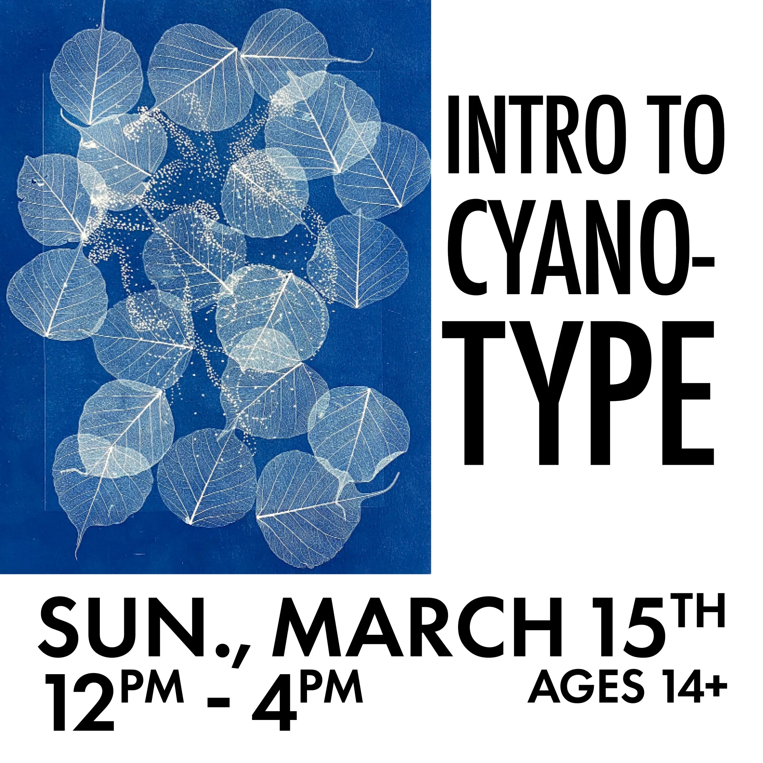 Intro to Cyanotype