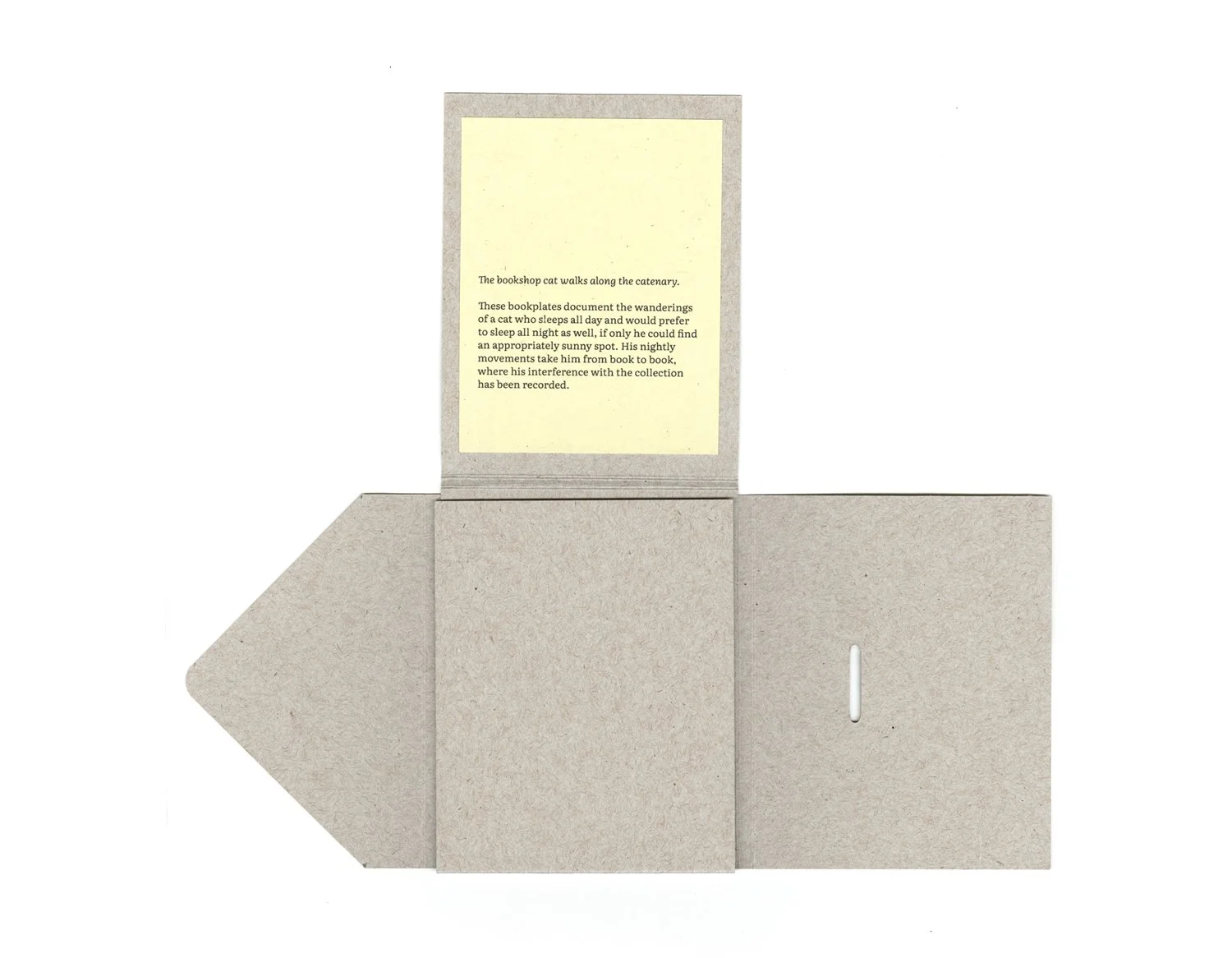 Catenary Books_KCaldwell_web03.jpg