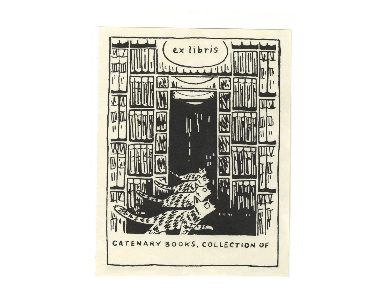 Catenary Books_KCaldwell_web09.jpg