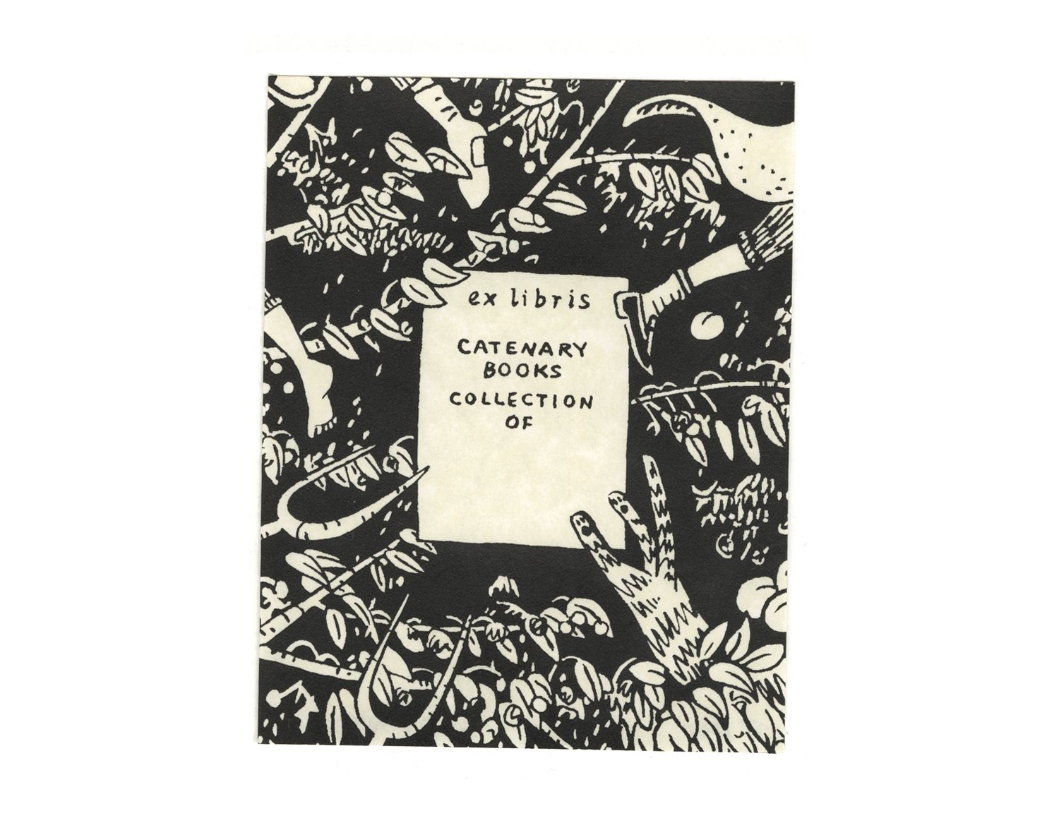 Catenary Books_KCaldwell_web10.jpg