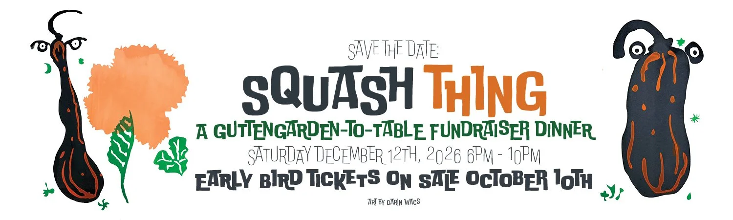 Squash web banner.jpg