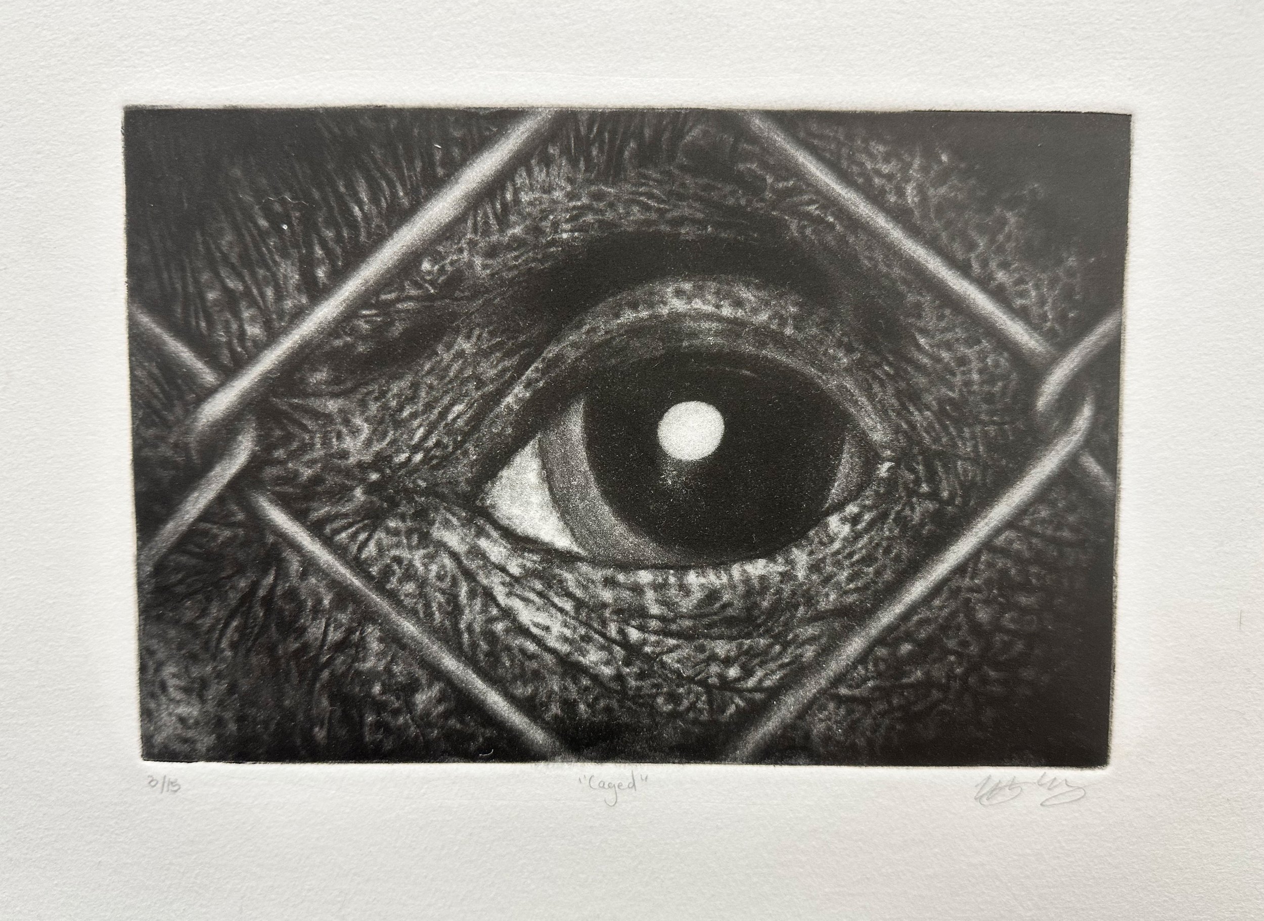 caged.jpg