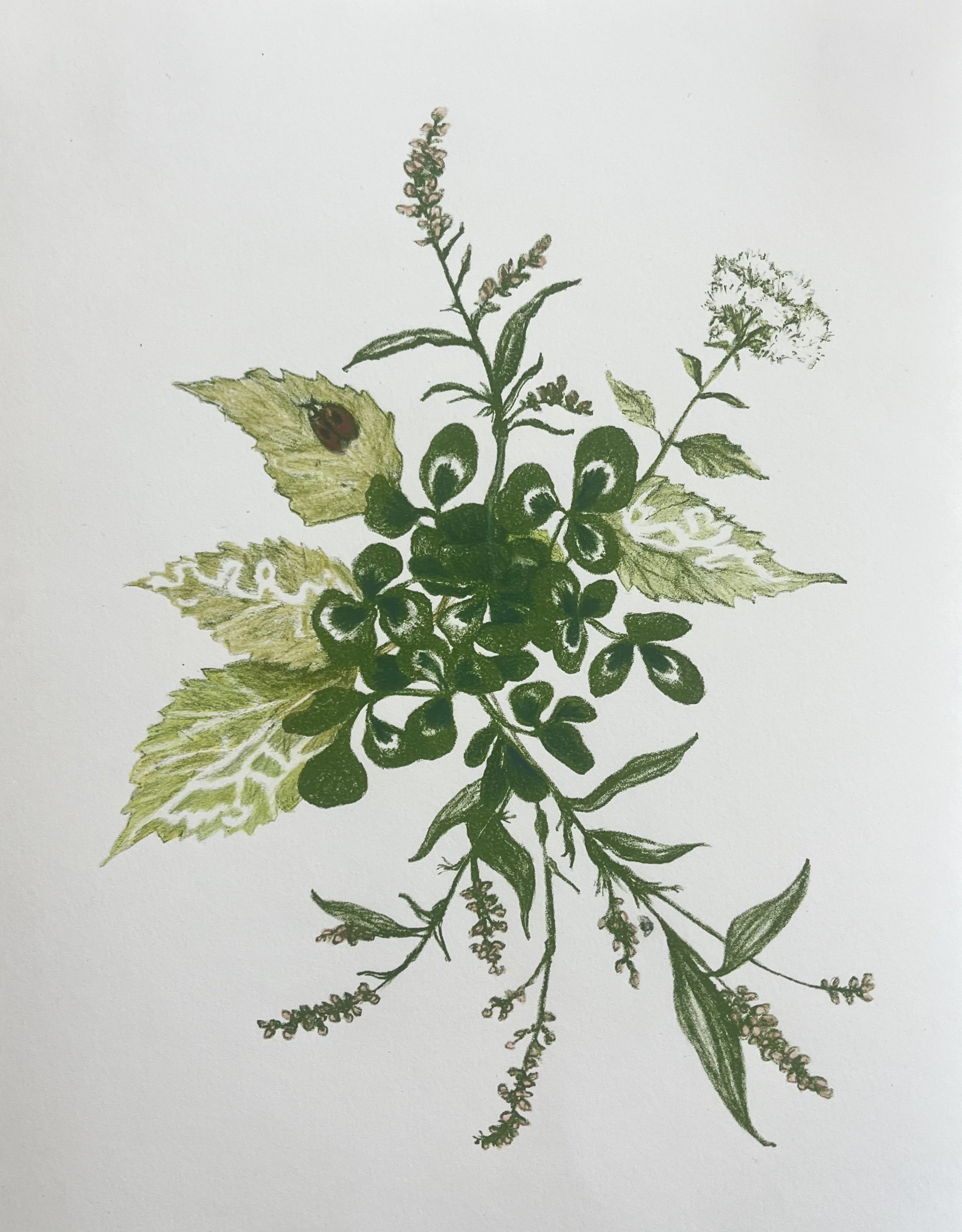 Magic Greens (with Ladybug) by Eileen Ferara