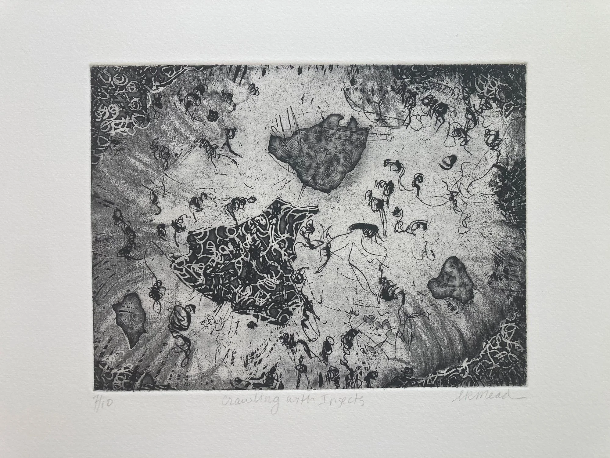 Crawling with Insects by Linda K Mead