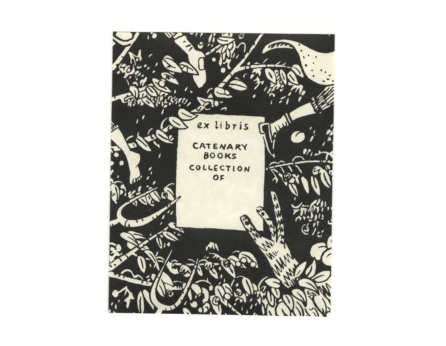 Catenary Books_KCaldwell_web10.jpg