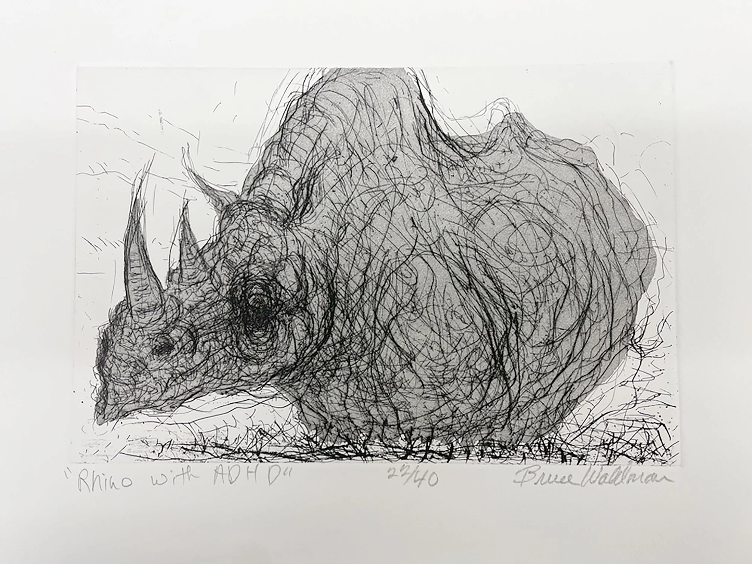 Bruce-Waldman-Rhino-with-ADHD.jpg