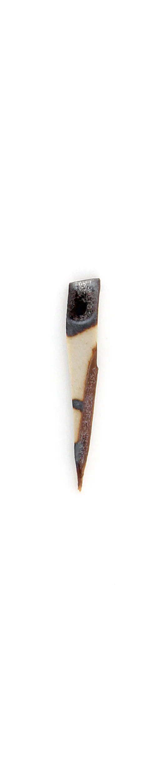 c112.jpg