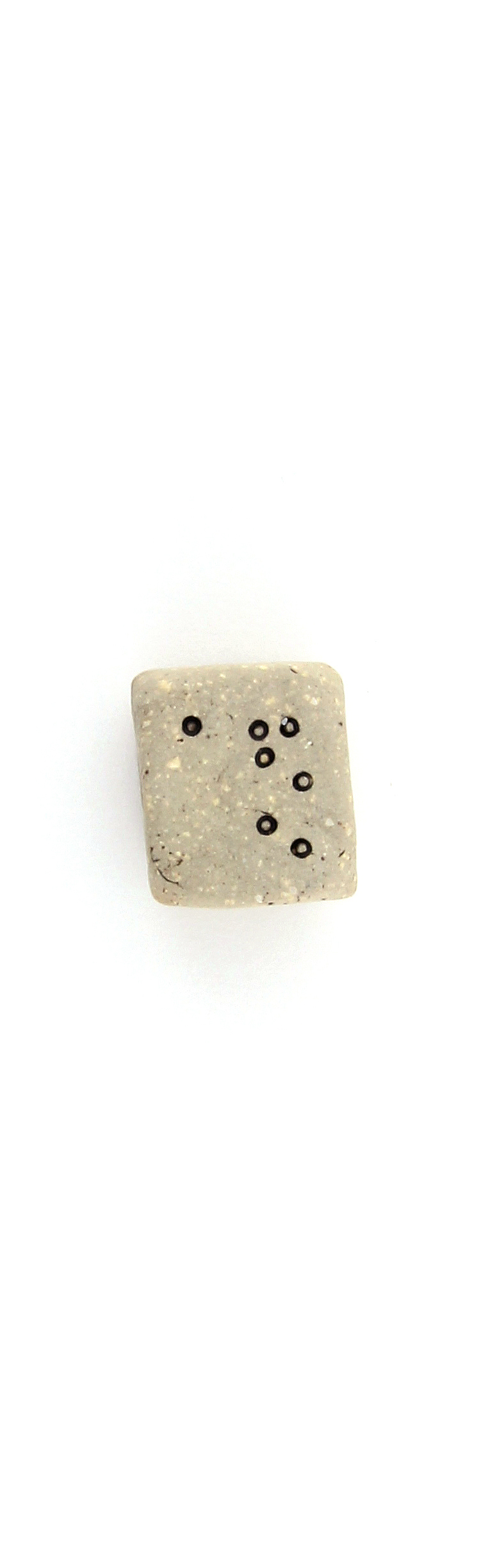 c216.jpg