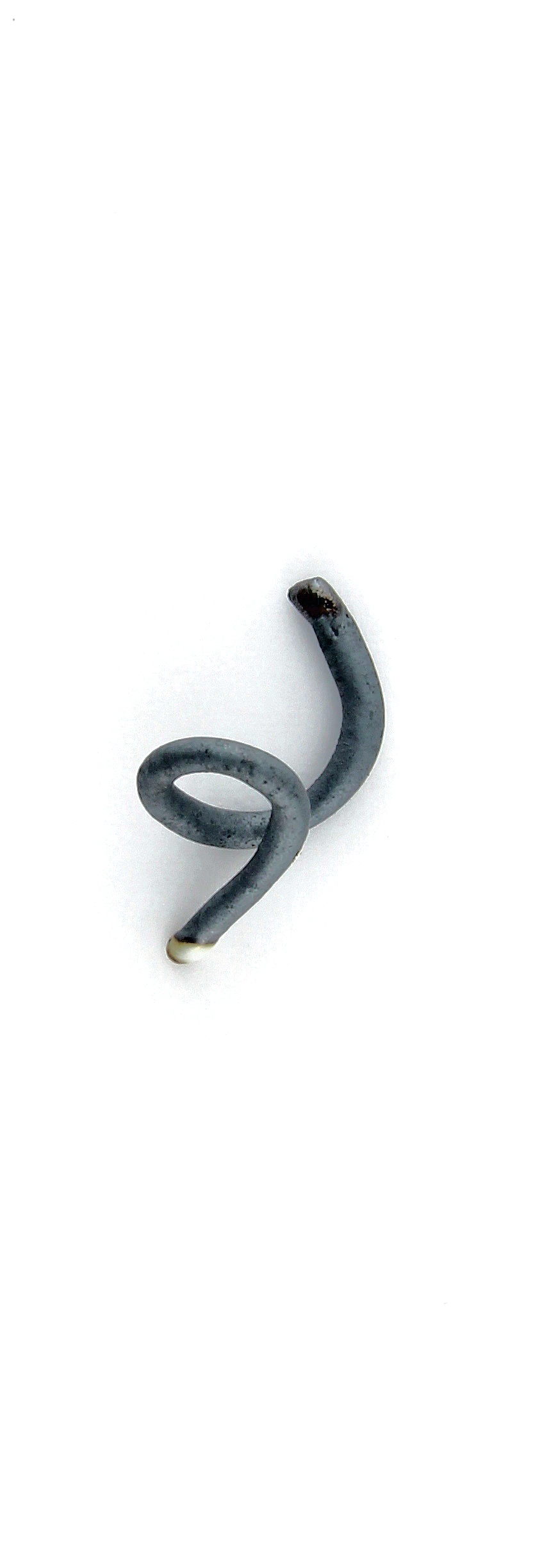 c210.jpg