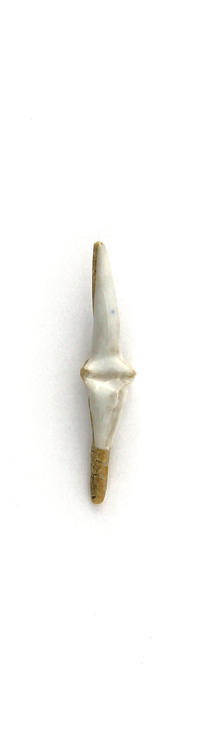 c206.jpg