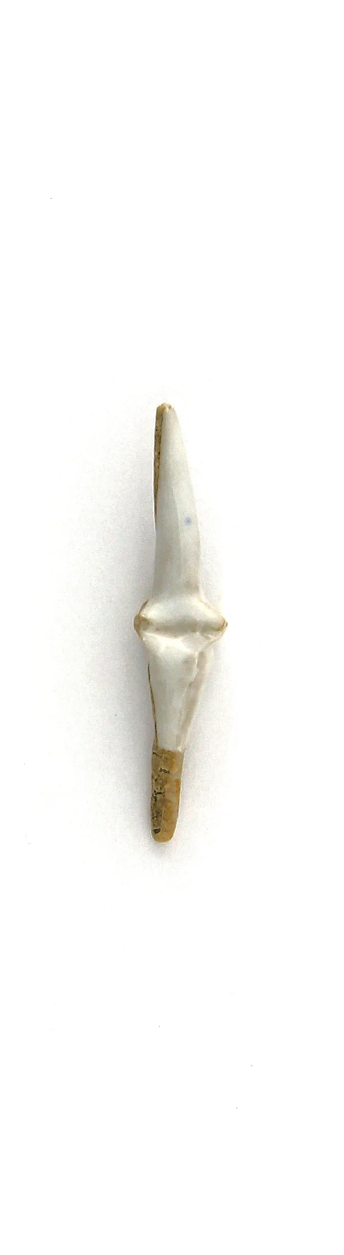 c206.jpg