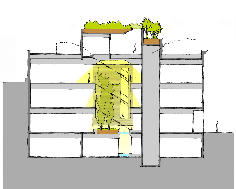 long-section_edit.jpg