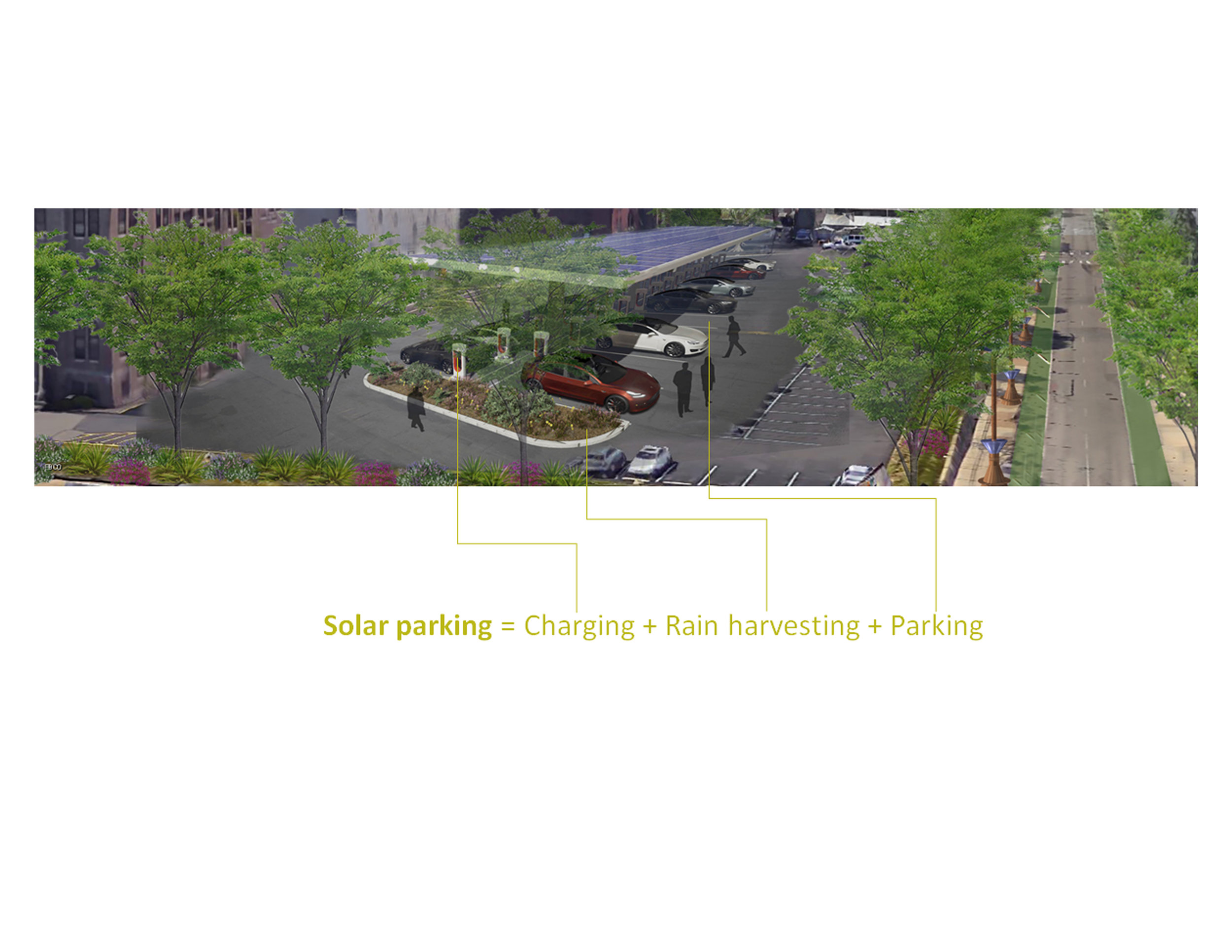 solar parking detail.jpg